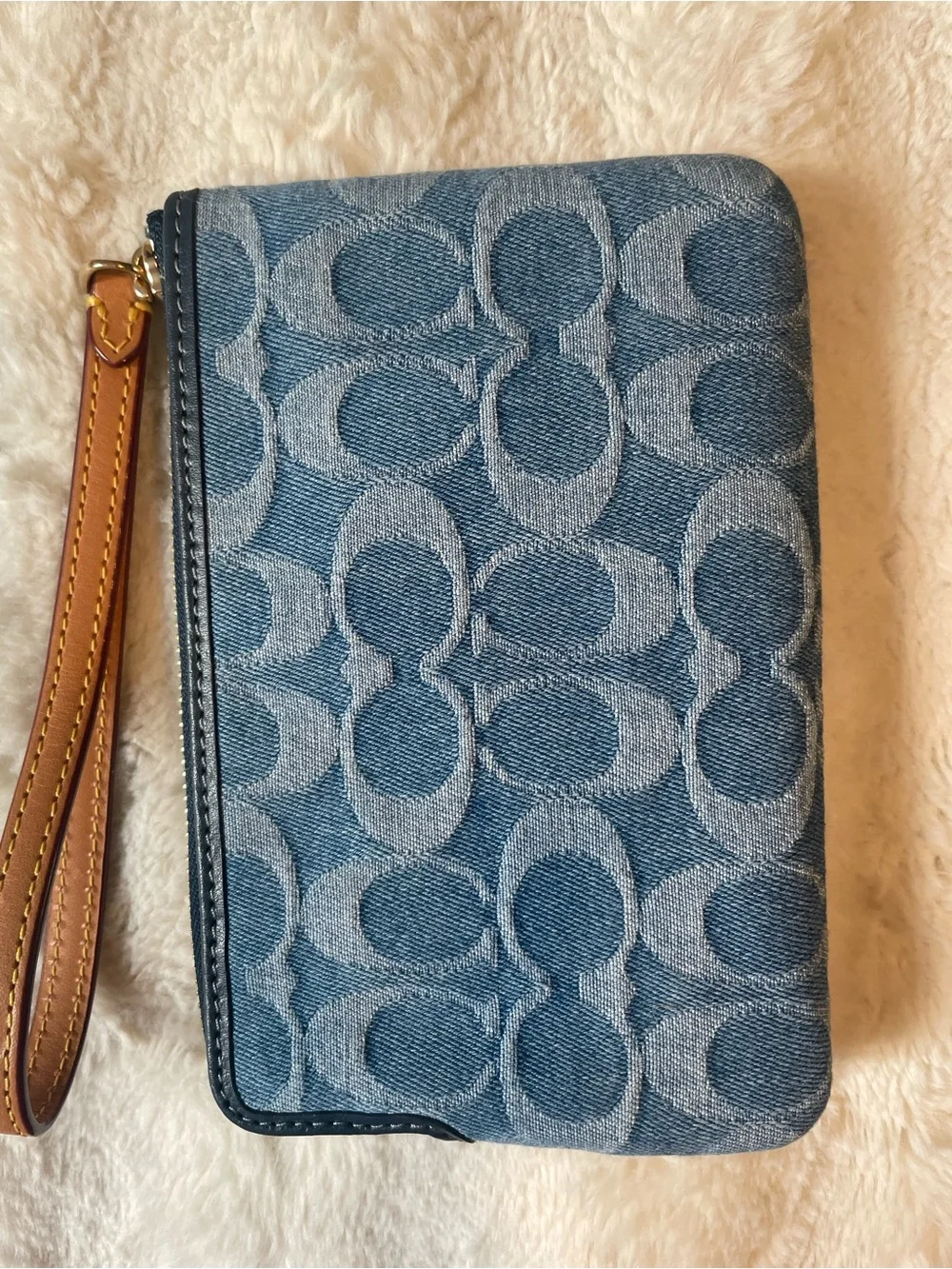Coach Denim Wristlet with Rainbow, Cherries & Mushroom Embroidery